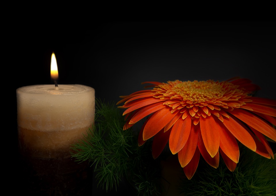 luto-morte-vida-luz- lysis-psicologia